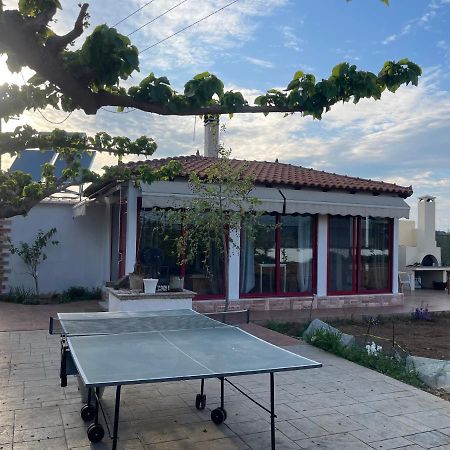 Country Lux Apartment Near Airport Markópoulon Exterior foto
