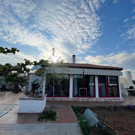 Country Lux Apartment Near Airport Markópoulon Exterior foto