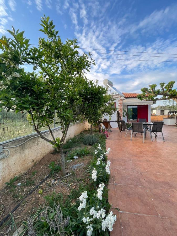 Country Lux Apartment Near Airport Markópoulon Exterior foto